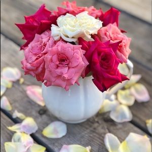 10% off when you bundle just two items!